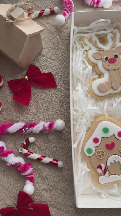 Merry and Bright Deluxe Cookies